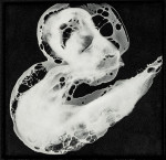 30 x 30 cm 